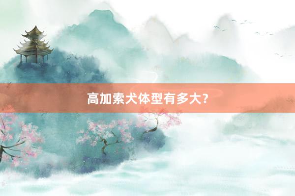 高加索犬体型有多大？