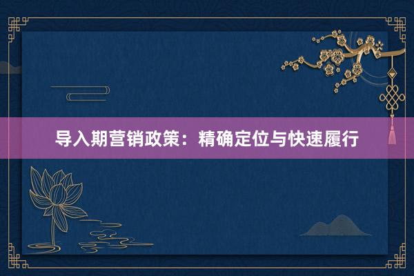 导入期营销政策：精确定位与快速履行